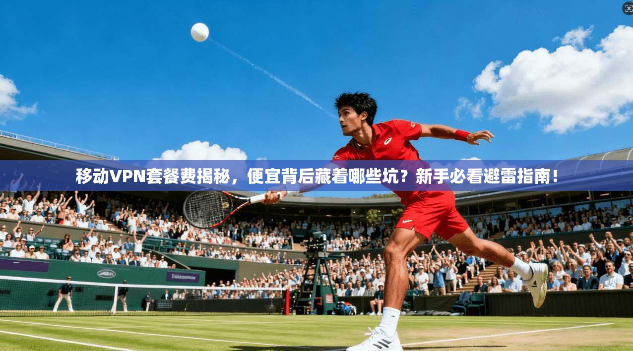 移动VPN套餐费揭秘，便宜背后藏着哪些坑？新手必看避雷指南！
