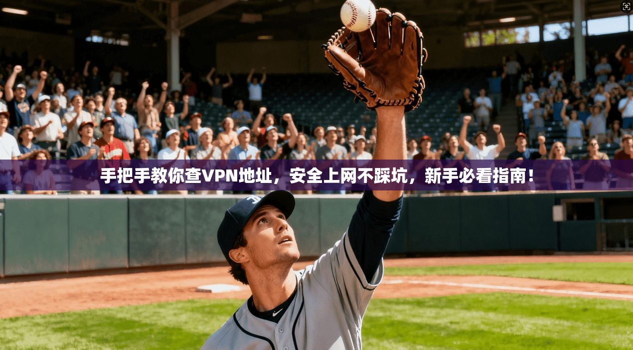 手把手教你查VPN地址,安全上网不踩坑,新手必看指南!