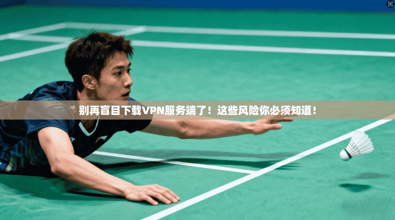 别再盲目下载VPN服务端了!这些风险你必须知道!