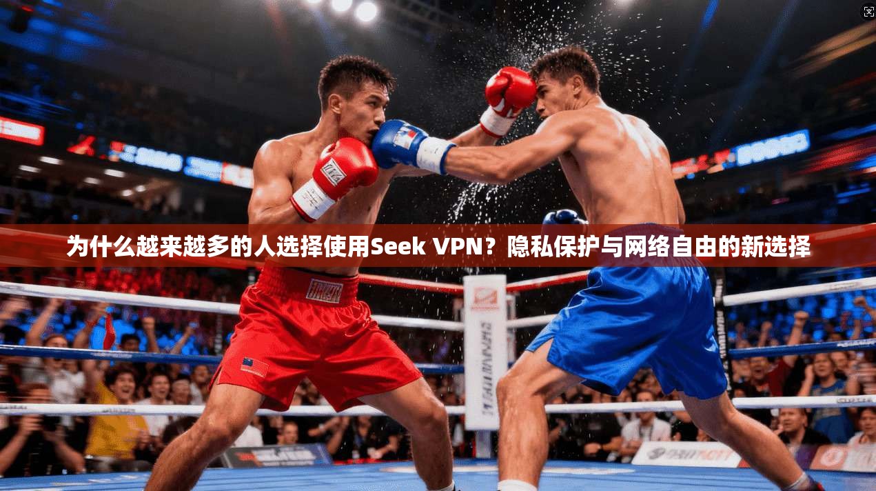 为什么越来越多的人选择使用Seek VPN？隐私保护与网络自由的新选择