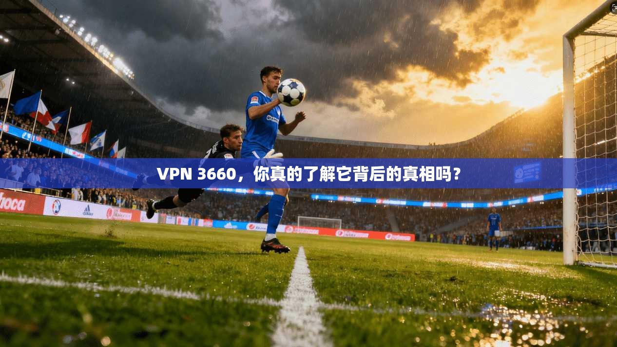 VPN 3660,你真的了解它背后的真相吗?