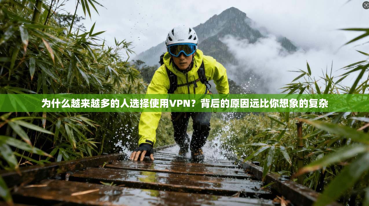 为什么越来越多的人选择使用VPN？背后的原因远比你想象的复杂