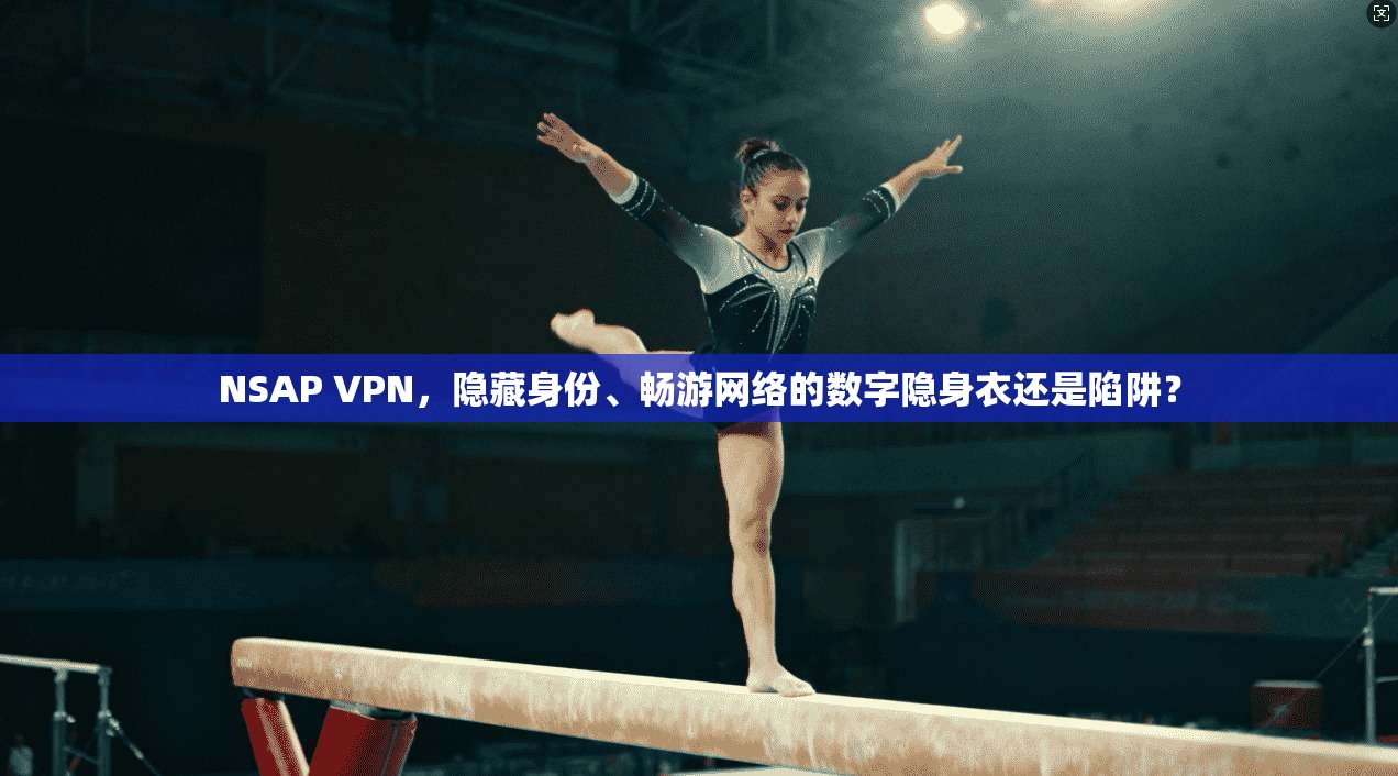 NSAP VPN,隐藏身份、畅游网络的数字隐身衣还是陷阱?