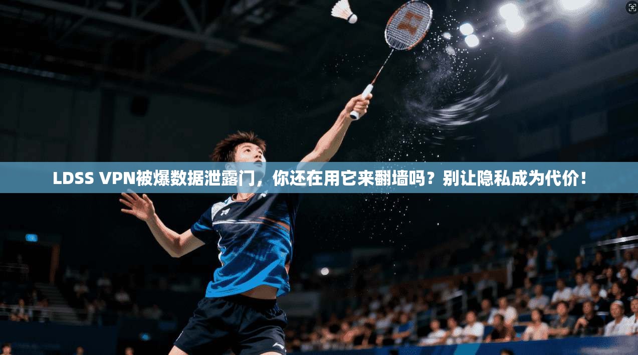 LDSS VPN被爆数据泄露门,你还在用它来翻墙吗?别让隐私成为代价!