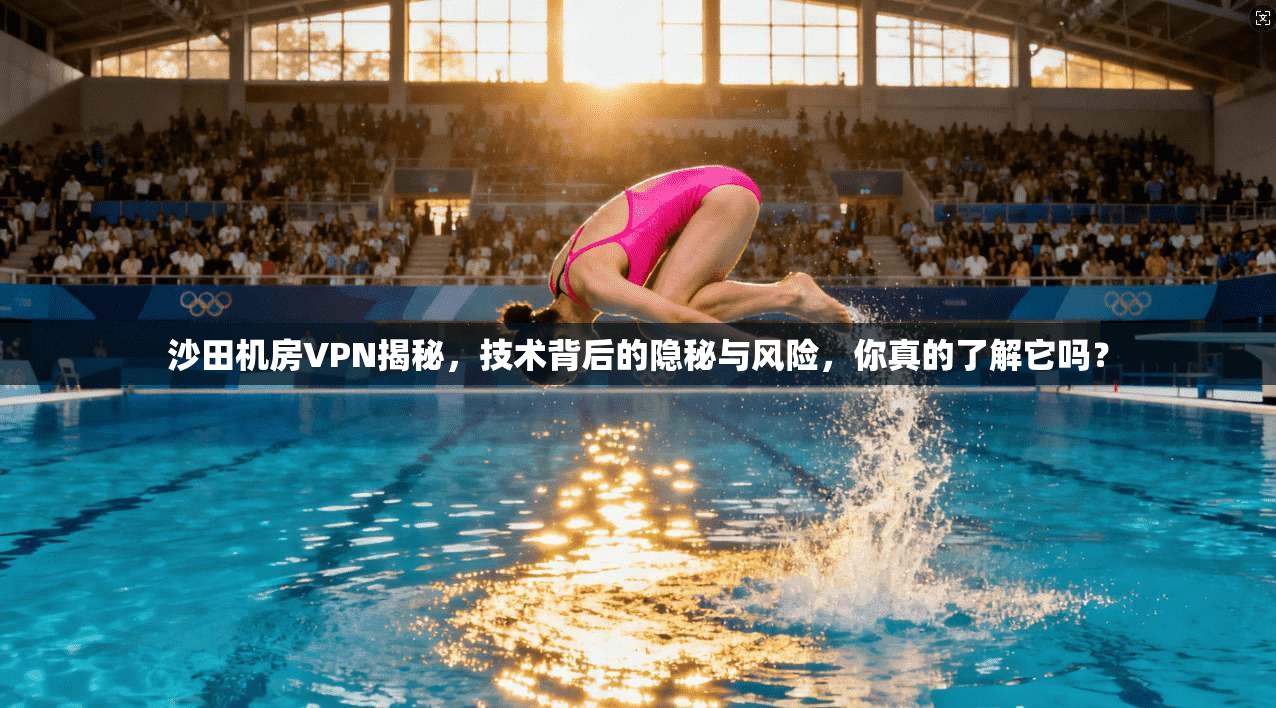 沙田机房VPN揭秘,技术背后的隐秘与风险,你真的了解它吗?