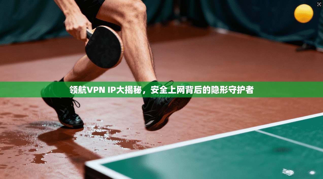 领航VPN IP大揭秘,安全上网背后的隐形守护者