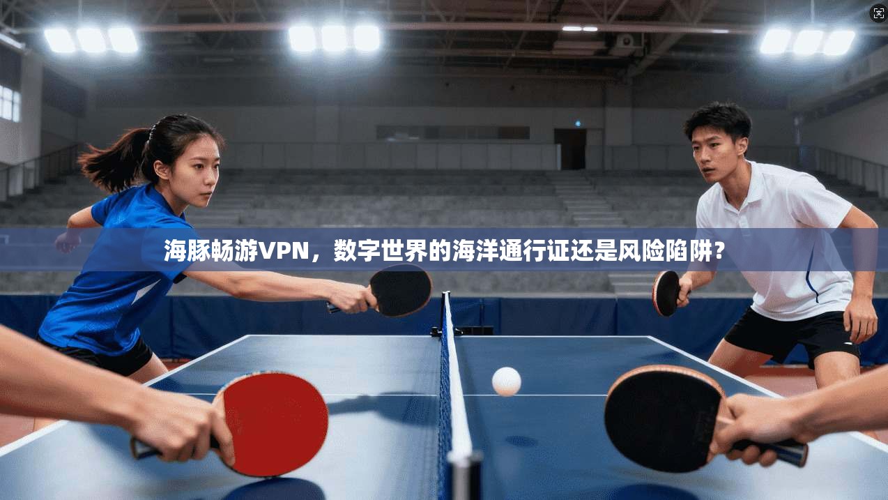 海豚畅游VPN，数字世界的海洋通行证还是风险陷阱？