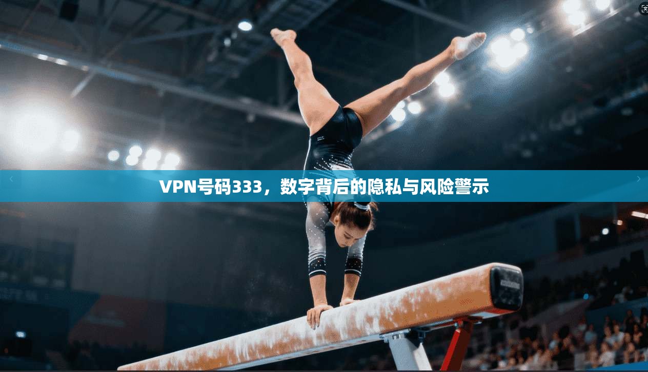 VPN号码333，数字背后的隐私与风险警示