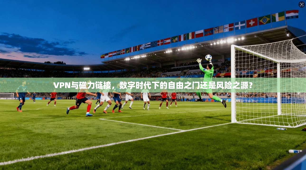 VPN与磁力链接，数字时代下的自由之门还是风险之源？