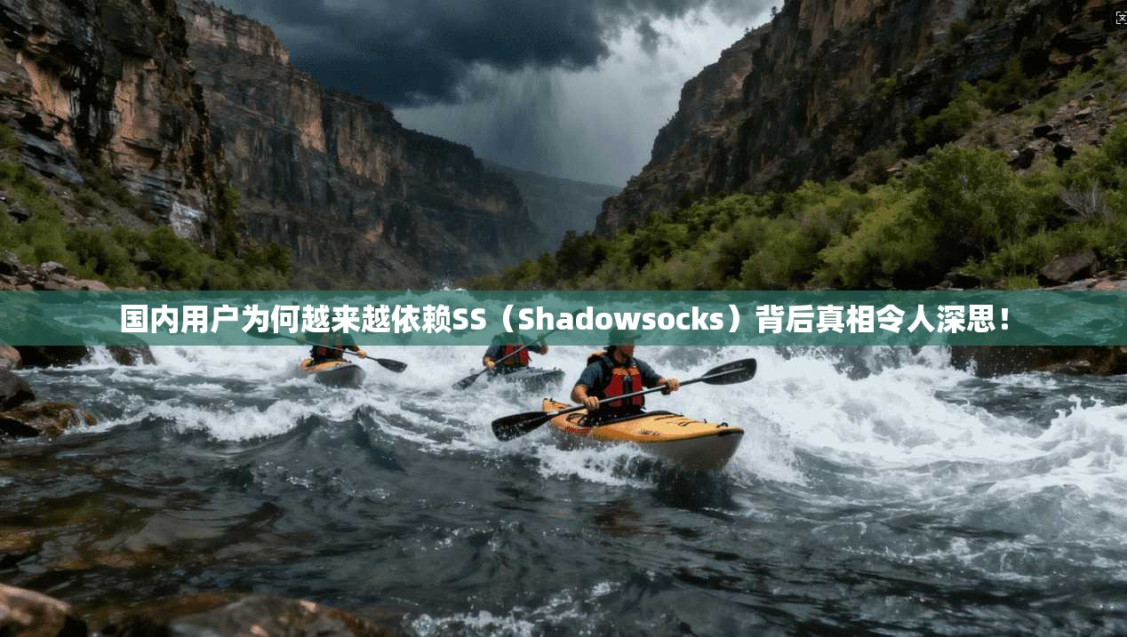 国内用户为何越来越依赖SS（Shadowsocks）背后真相令人深思！