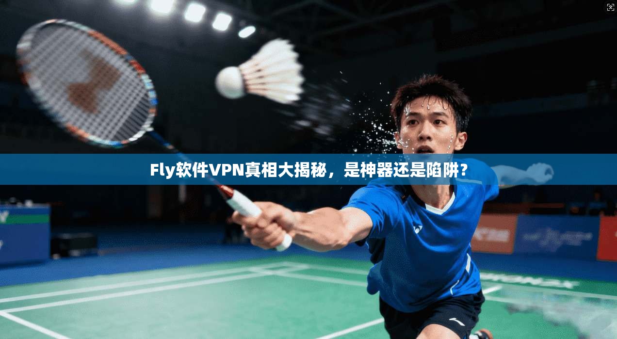 Fly软件VPN真相大揭秘，是神器还是陷阱？