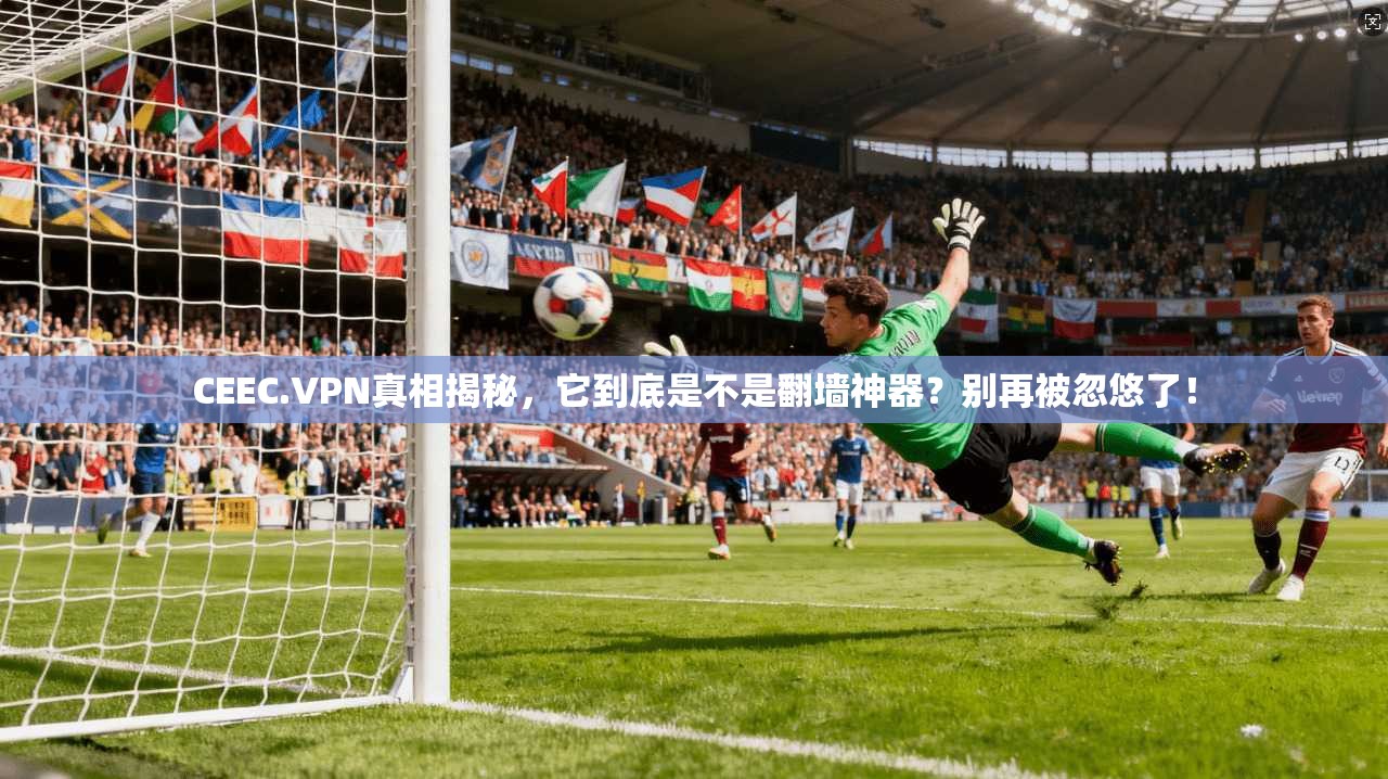CEEC.VPN真相揭秘，它到底是不是翻墙神器？别再被忽悠了！