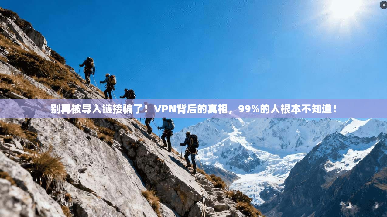 别再被导入链接骗了！VPN背后的真相，99%的人根本不知道！