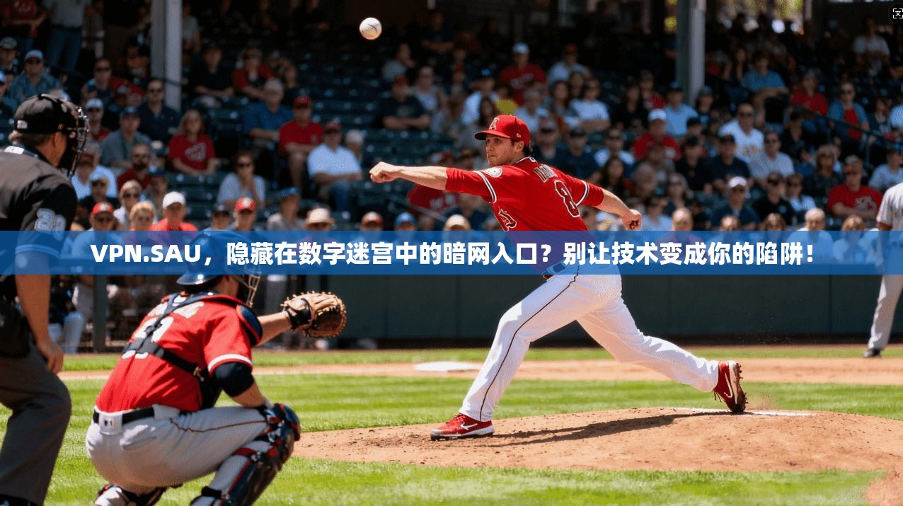 VPN.SAU,隐藏在数字迷宫中的暗网入口?别让技术变成你的陷阱!
