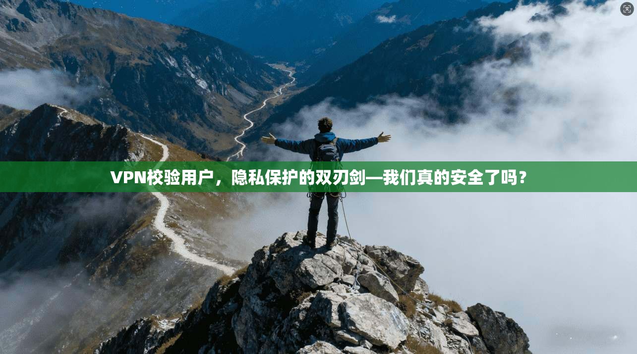 VPN校验用户,隐私保护的双刃剑—我们真的安全了吗?