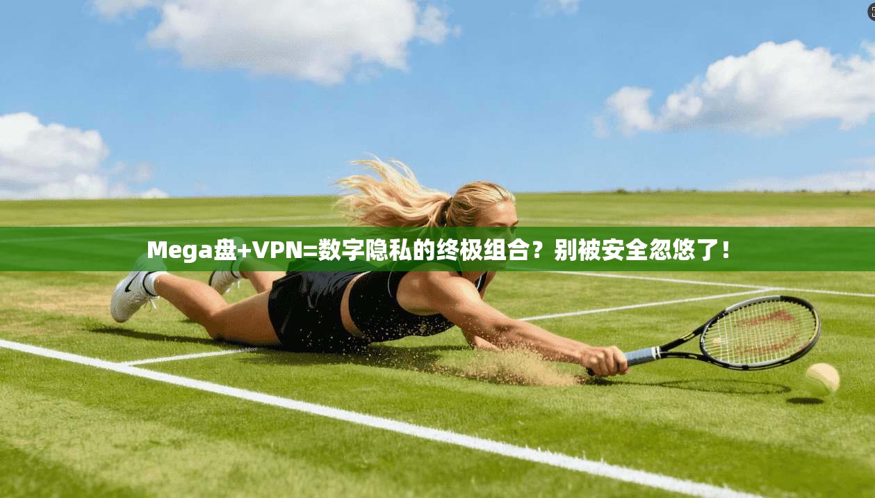 Mega盘+VPN=数字隐私的终极组合？别被安全忽悠了！