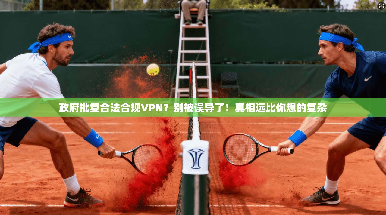 政府批复合法合规VPN？别被误导了！真相远比你想的复杂