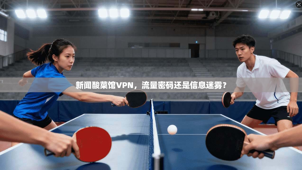 新闻酸菜馆VPN，流量密码还是信息迷雾？