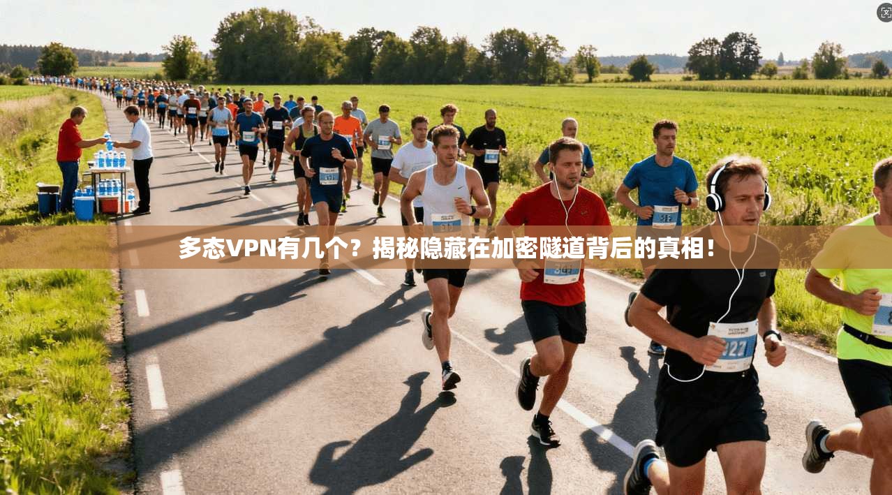 多态VPN有几个？揭秘隐藏在加密隧道背后的真相！