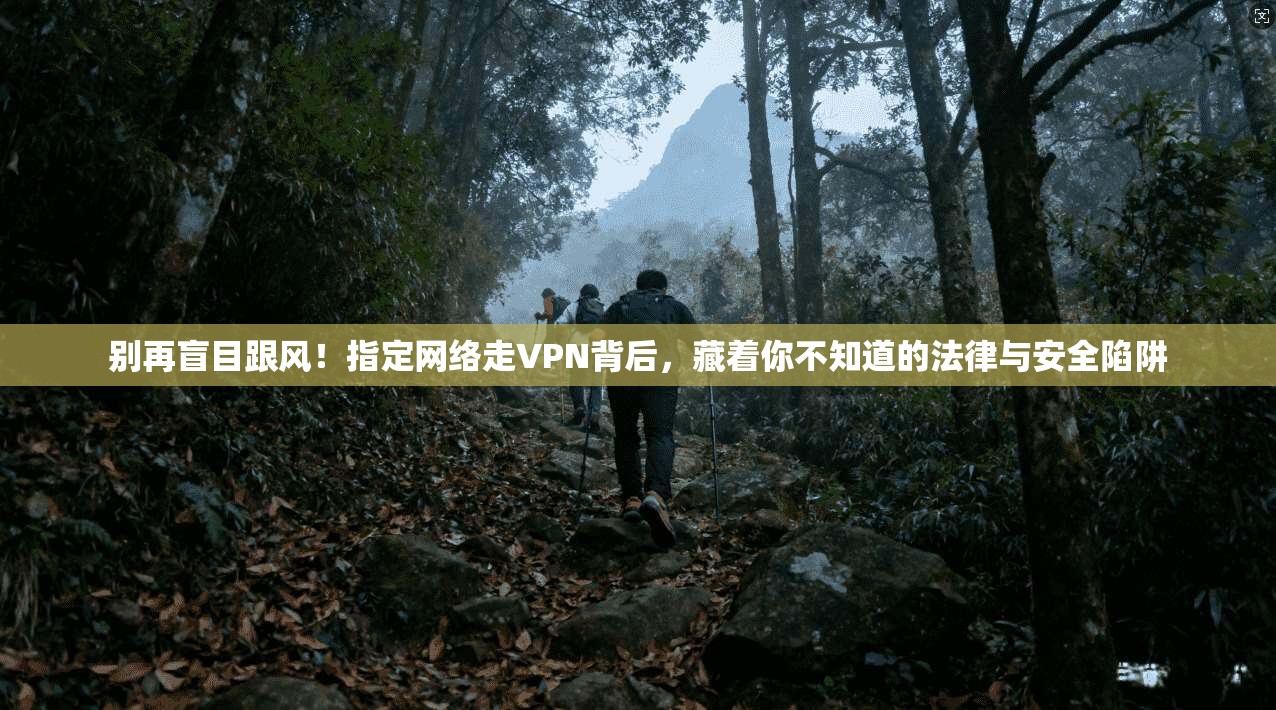 别再盲目跟风！指定网络走VPN背后，藏着你不知道的法律与安全陷阱