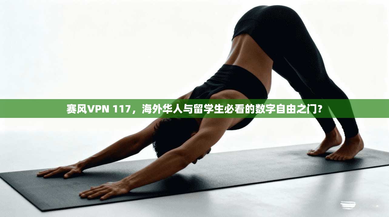赛风VPN 117,海外华人与留学生必看的数字自由之门?