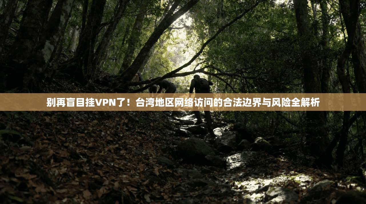 别再盲目挂VPN了！台湾地区网络访问的合法边界与风险全解析