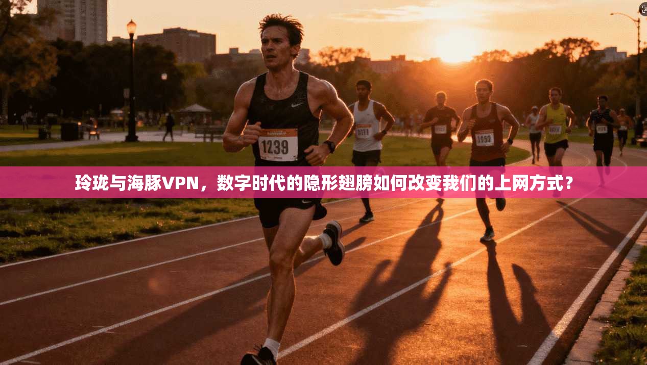 玲珑与海豚VPN，数字时代的隐形翅膀如何改变我们的上网方式？