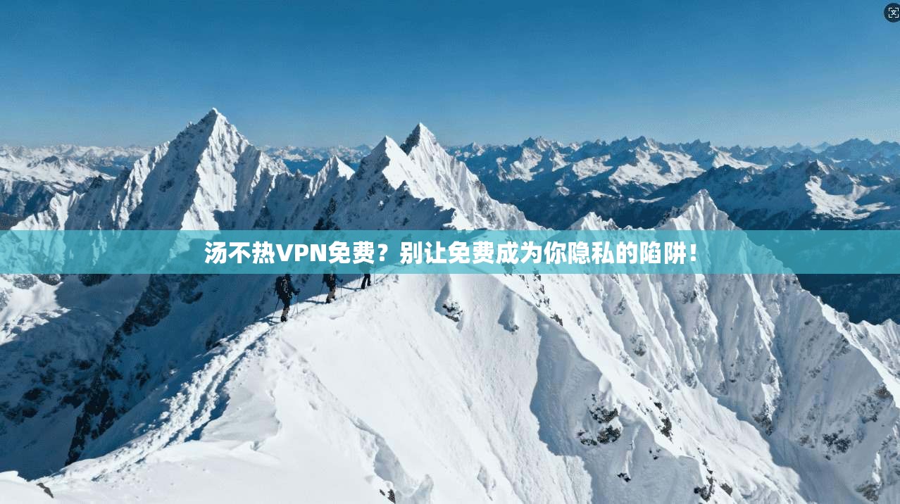 汤不热VPN免费？别让免费成为你隐私的陷阱！