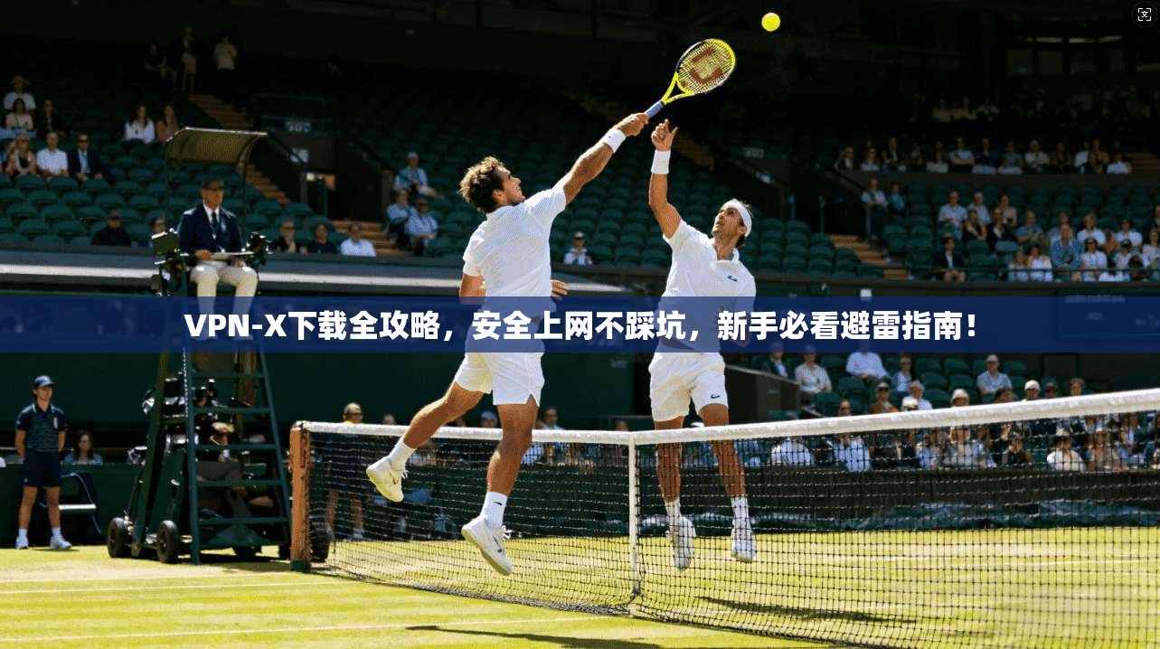VPN-X下载全攻略,安全上网不踩坑,新手必看避雷指南!