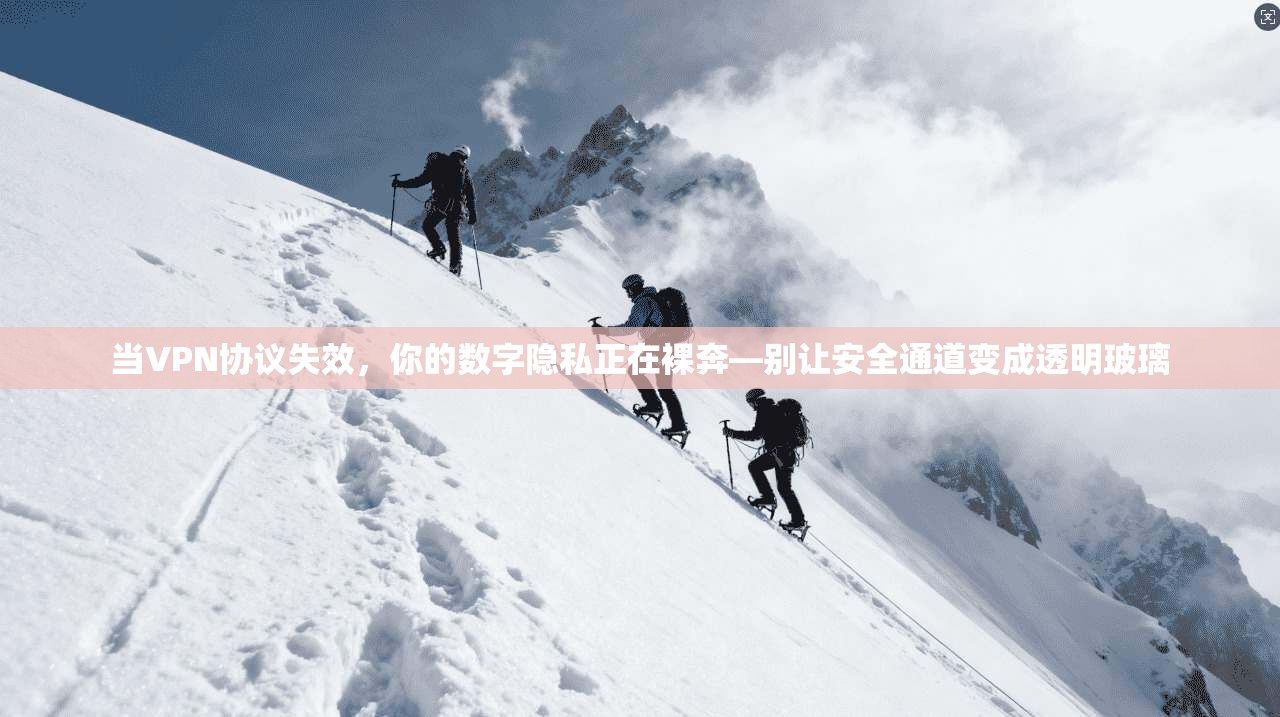 当VPN协议失效，你的数字隐私正在裸奔—别让安全通道变成透明玻璃