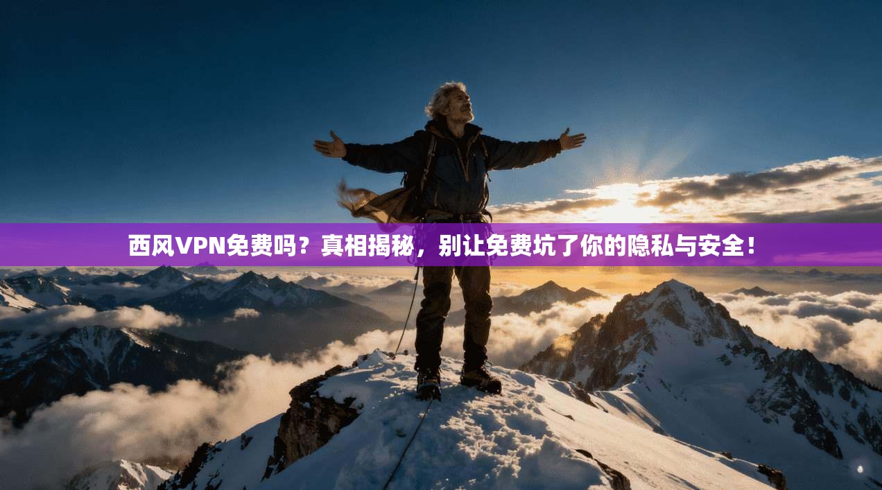 西风VPN免费吗？真相揭秘，别让免费坑了你的隐私与安全！