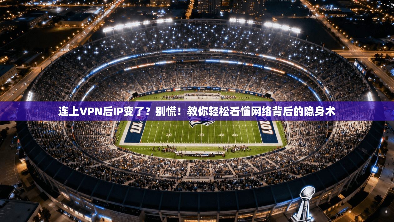 连上VPN后IP变了？别慌！教你轻松看懂网络背后的隐身术