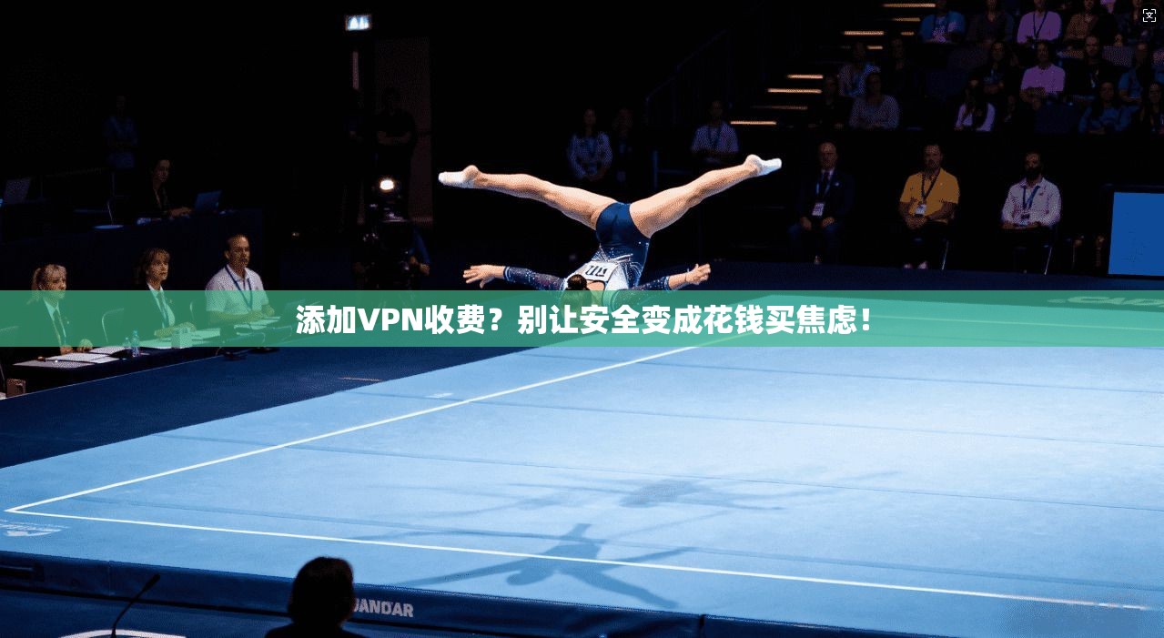 添加VPN收费?别让安全变成花钱买焦虑!
