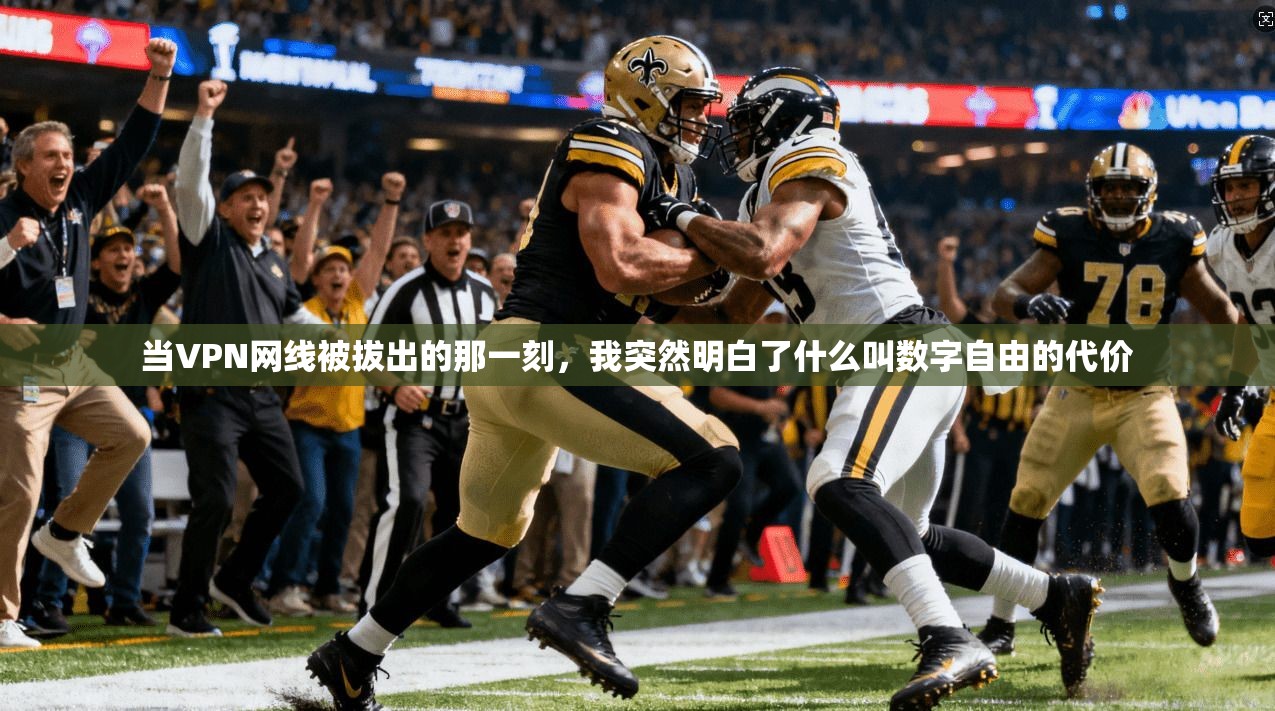 当VPN网线被拔出的那一刻，我突然明白了什么叫数字自由的代价