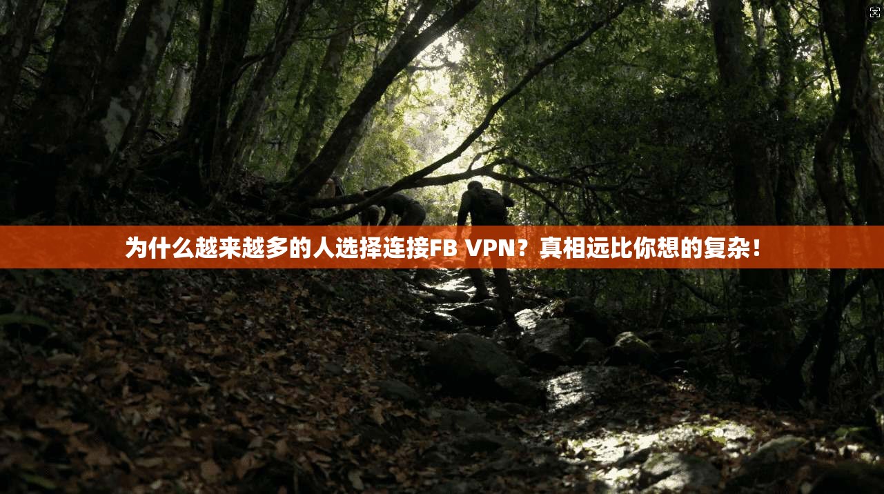 为什么越来越多的人选择连接FB VPN？真相远比你想的复杂！