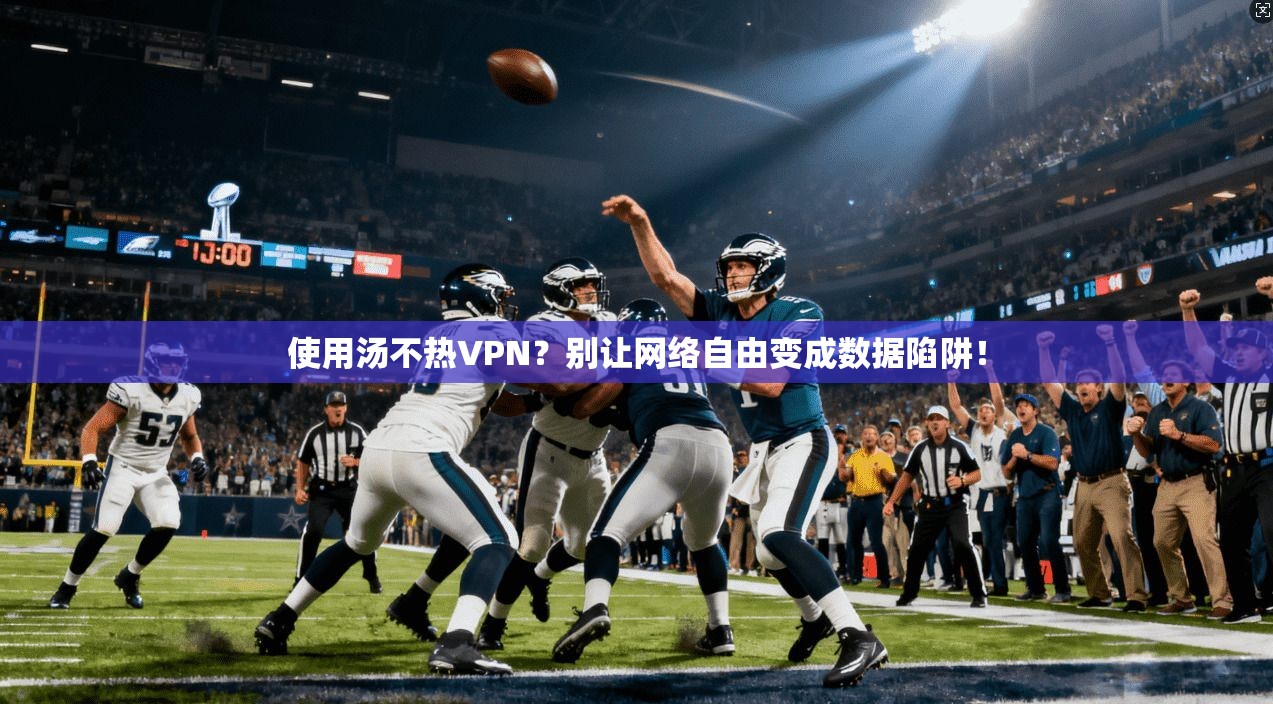 使用汤不热VPN？别让网络自由变成数据陷阱！