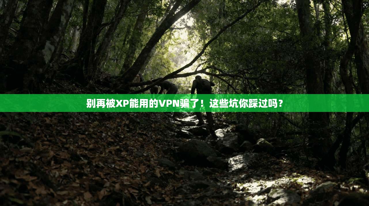 别再被XP能用的VPN骗了!这些坑你踩过吗?