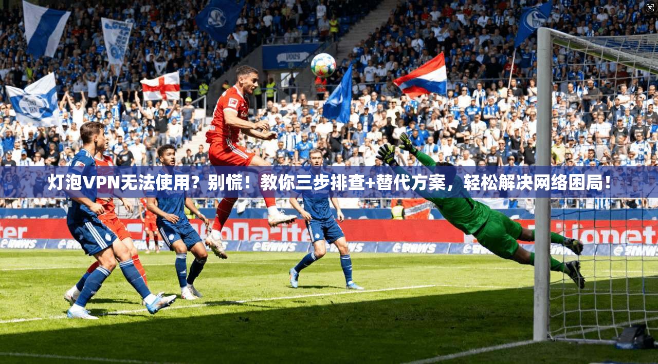 灯泡VPN无法使用?别慌!教你三步排查+替代方案,轻松解决网络困局!