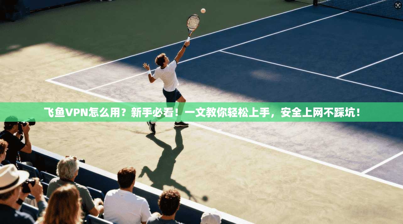 飞鱼VPN怎么用？新手必看！一文教你轻松上手，安全上网不踩坑！
