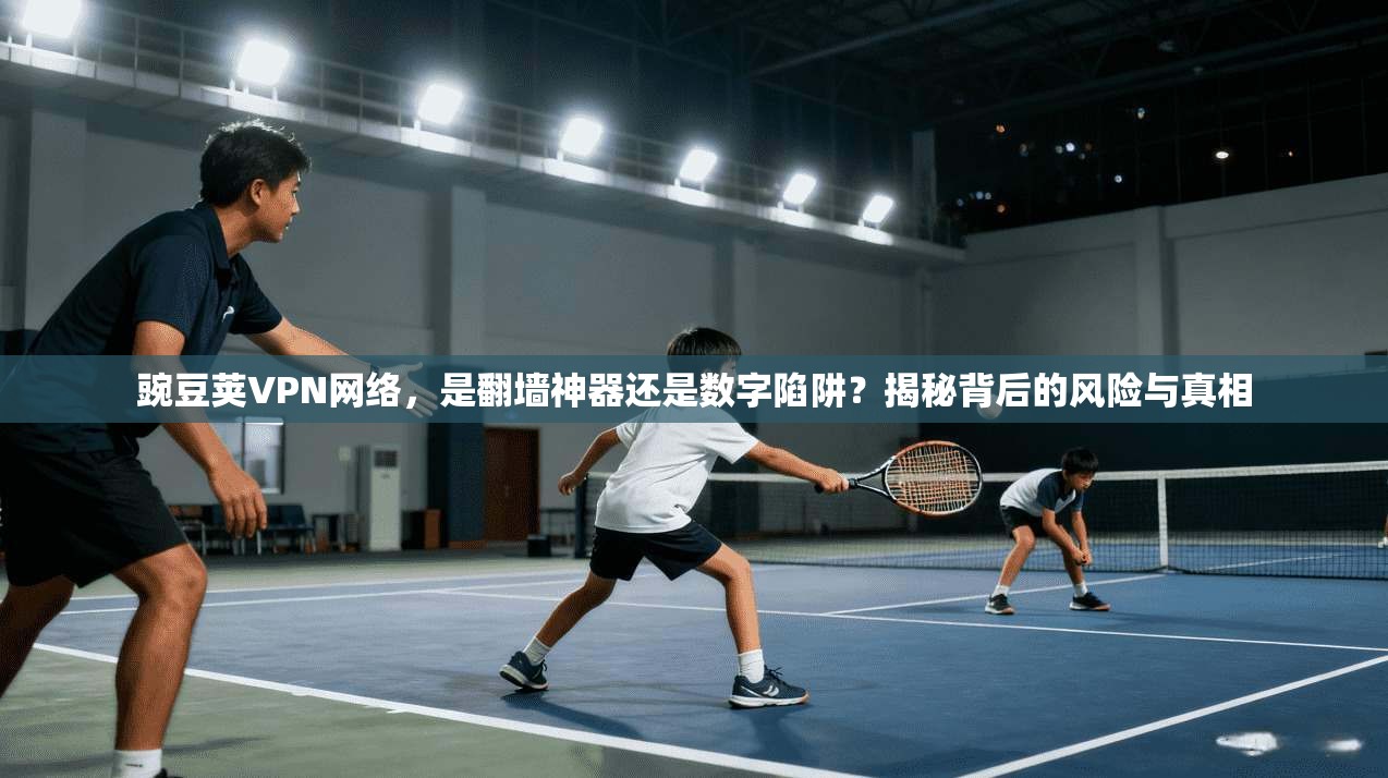 豌豆荚VPN网络，是翻墙神器还是数字陷阱？揭秘背后的风险与真相