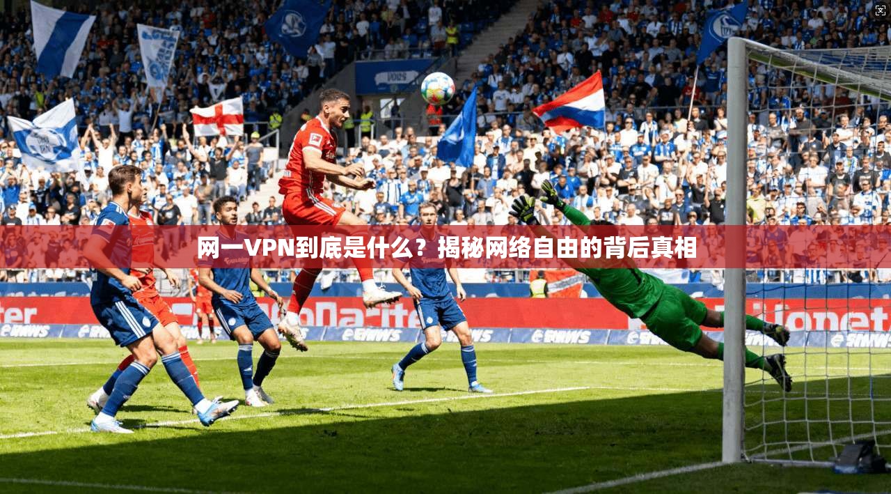 网一VPN到底是什么？揭秘网络自由的背后真相