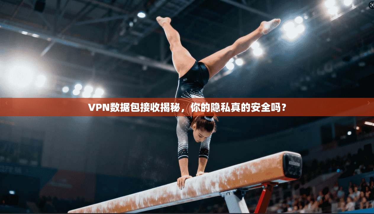 VPN数据包接收揭秘，你的隐私真的安全吗？
