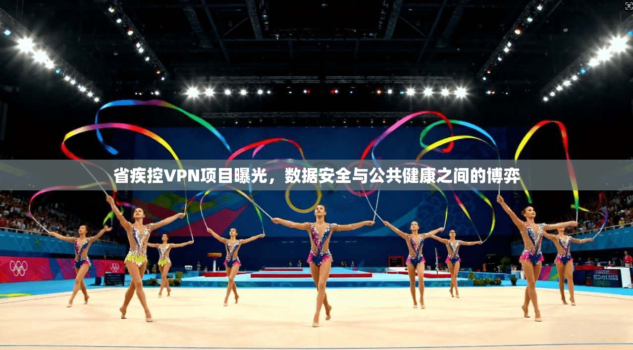省疾控VPN项目曝光，数据安全与公共健康之间的博弈