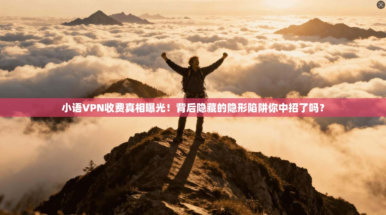 小语VPN收费真相曝光！背后隐藏的隐形陷阱你中招了吗？