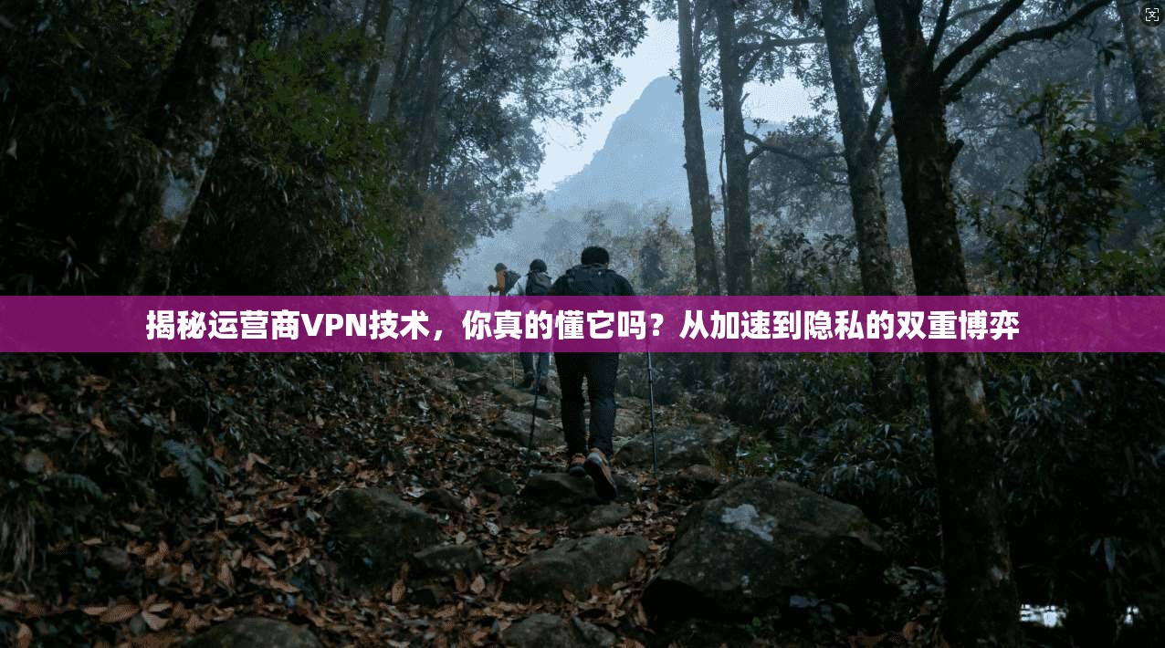 揭秘运营商VPN技术，你真的懂它吗？从加速到隐私的双重博弈