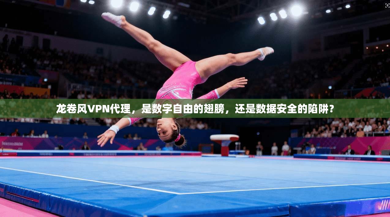 龙卷风VPN代理，是数字自由的翅膀，还是数据安全的陷阱？