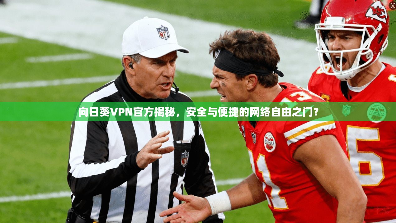 向日葵VPN官方揭秘，安全与便捷的网络自由之门？