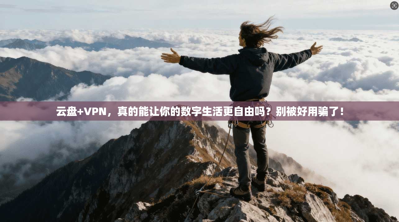 云盘+VPN，真的能让你的数字生活更自由吗？别被好用骗了！