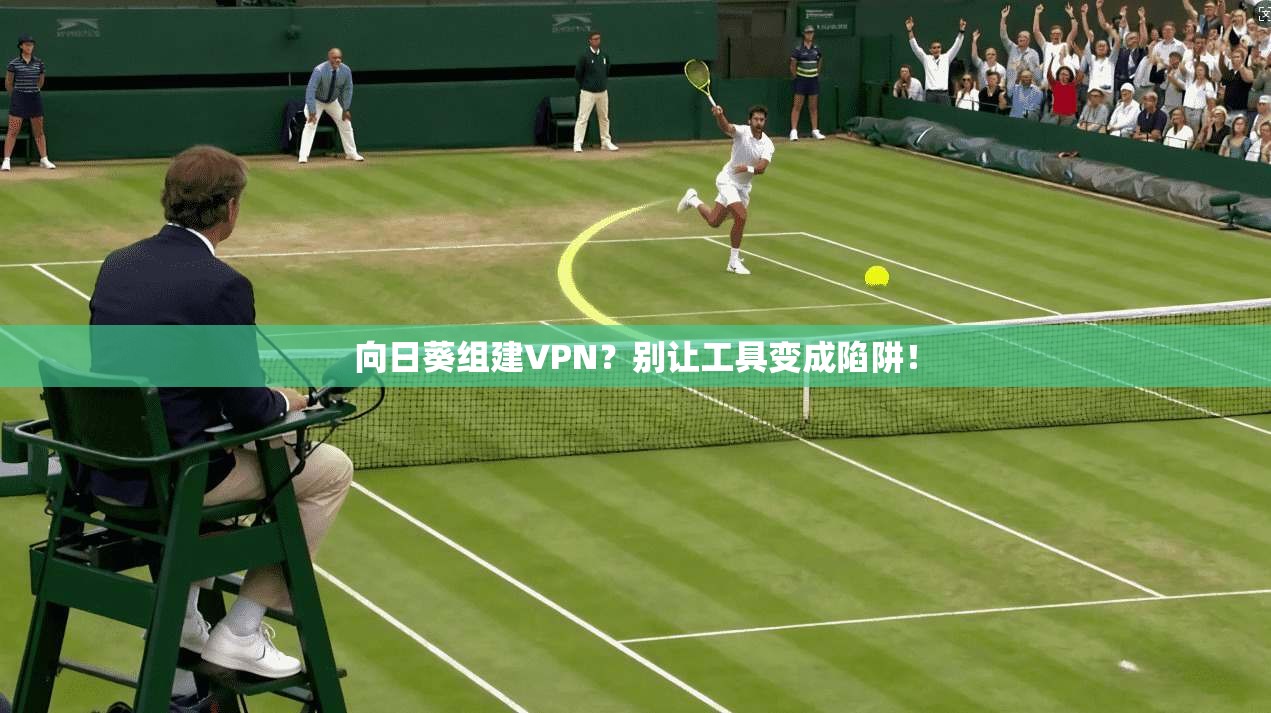 向日葵组建VPN？别让工具变成陷阱！