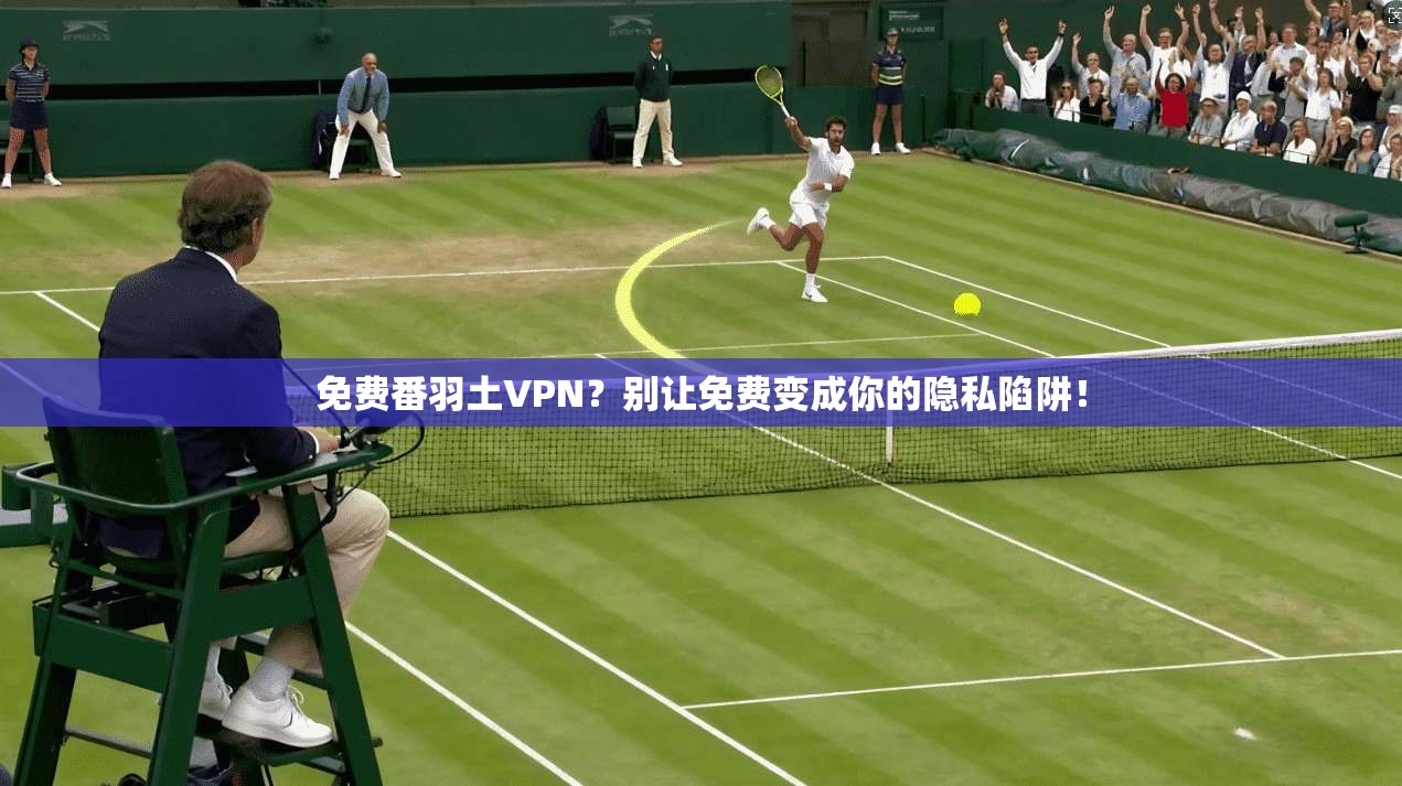 免费番羽土VPN？别让免费变成你的隐私陷阱！